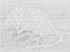 Gridded Mouse